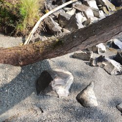 Lily Bay State Park