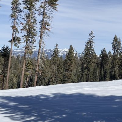 Badger Pass Ski Area by null