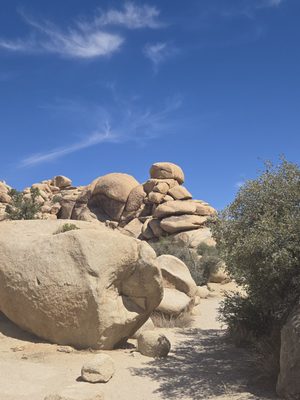 Joshua Tree National Park Visitor Center by null