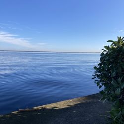 1Raw Yoga - view just outside the studio :)