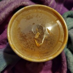 Wendy's - It's a twisty tie & I almost swallowed it