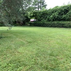 Strong Hands Services Lawn Care & Removal Enterprise - Beautiful yard