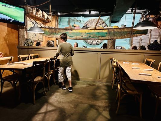 The Half Shell SSI by null