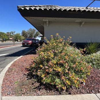 Starbucks - Drive through available - Coffee & Tea Near Me - Coalinga, California Starbucks - Drive through available - Coffee & Tea Near Me - Coalinga, California