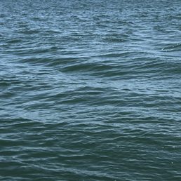 Picture of the bay