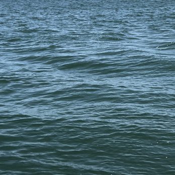 SF Bay Boat Memorials - Picture of the bay - Boat Charters Near Me