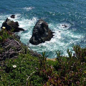 Sonoma Coast State Beach - Parks Near Me - Bodega Bay, California Sonoma Coast State Beach - Parks Near Me - Bodega Bay, California