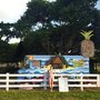 Photo of Island Breeze