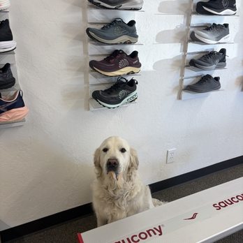 Heart & Sole - Rose - Shoe Stores Near Me - Santa Rosa, California