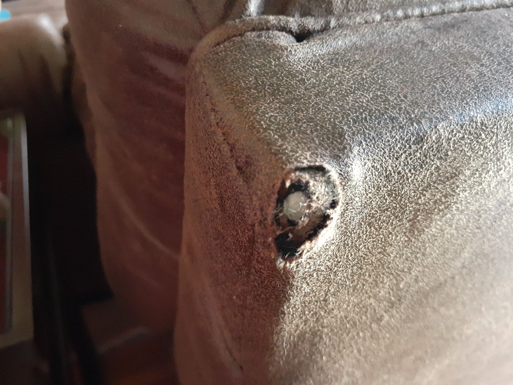 LIAM’S HOME FURNITURE Updated October 2024 599 Belmont St, Brockton