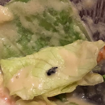 Sushi Robata - Awful food! Bug with salad! - Sushi Bars Near Me - Dallas, Texas Sushi Robata - Awful food! Bug with salad! - Sushi Bars Near Me - Dallas, Texas