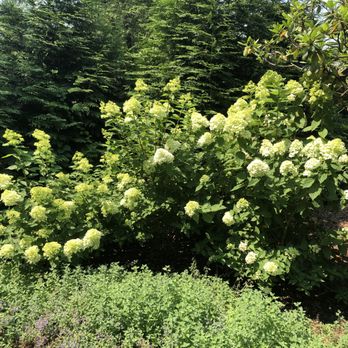 Horizon Landscape Company - Landscaping Near Me - Wyckoff, New Jersey