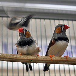 Uncle Bill's Pet Centers North