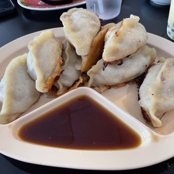 Dumpling King - Potstickers - Chinese Near Me - North Miami Beach, Florida Dumpling King - Potstickers - Chinese Near Me - North Miami Beach, Florida