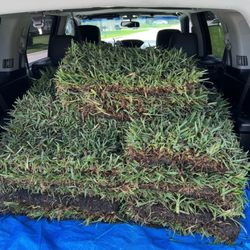 Sod Depot - Orlando Outdoors sod