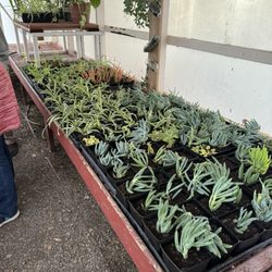 Hale Charter Academy - Green house