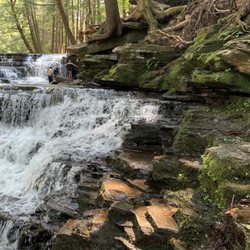 Salt Springs State Park - Top falls