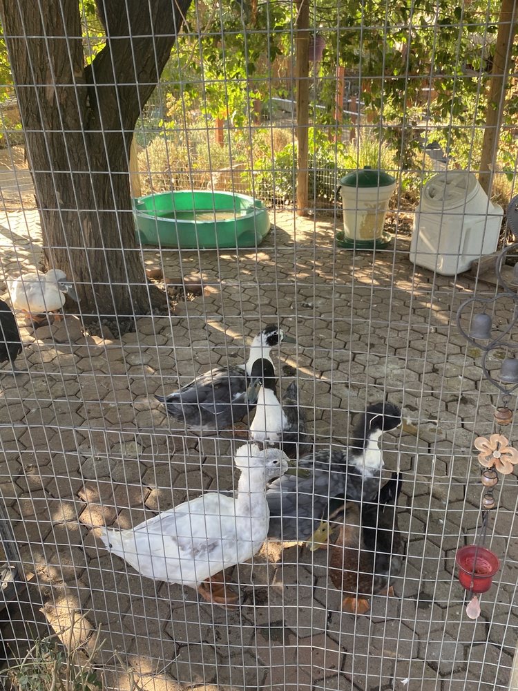 PALM VIEW RV PARK & CAMPGROUND Updated October 2024 17 Reviews