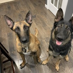 Nuzzlers