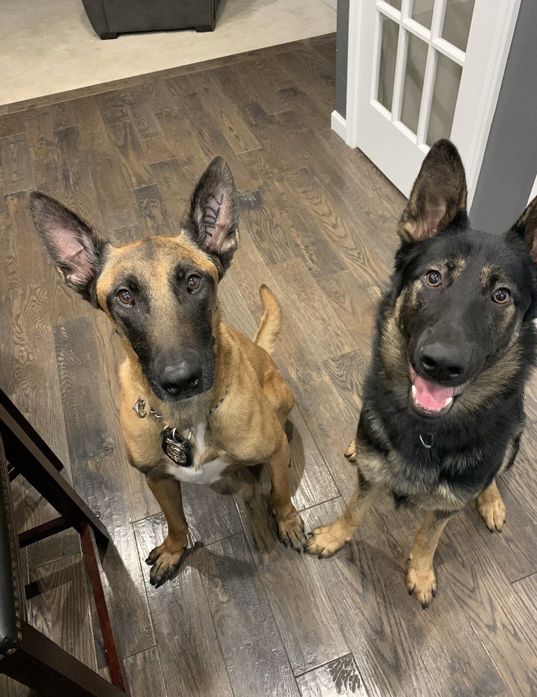 Nuzzlers - pet boarding facility in North Royalton, OH