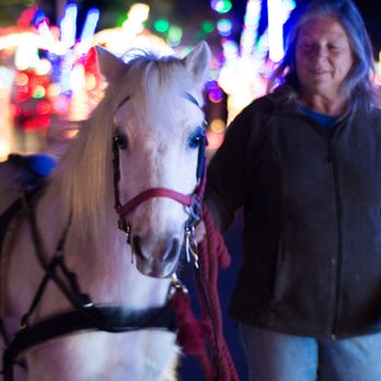 Party Ponies Yuma - Yuma Horse Adventures pony and cart at the foothills Story Lane - Kids Activities Near Me - Yuma, Arizona Party Ponies Yuma - Yuma Horse Adventures pony and cart at the foothills Story Lane - Kids Activities Near Me - Yuma, Arizona