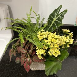 Oopsie Daisies - Designer's Choice Arrangement