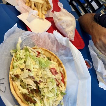 Gyro Plus - falafel hummus wrap - Greek Near Me - Gainesville, Florida Gyro Plus - falafel hummus wrap - Greek Near Me - Gainesville, Florida