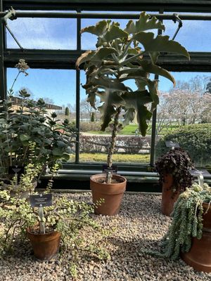 Floral Showhouse by null