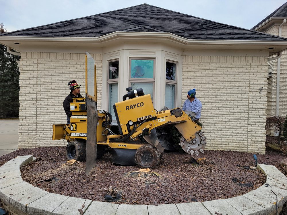 Halo Tree Service - tree service in Shelby Township, MI