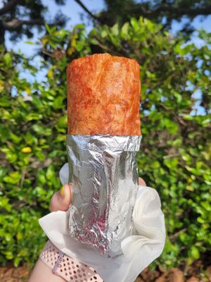 Korean Bobcha by null