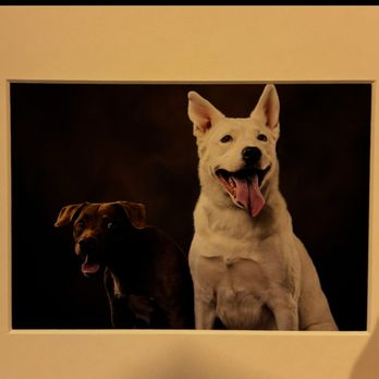 Michael Anthony Photography - The lighting in the print does not at all match the digitals, and one of my dogs is nearly invisible to the background - Session Photography Near Me - Valencia, California Michael Anthony Photography - The lighting in the print does not at all match the digitals, and one of my dogs is nearly invisible to the background - Session Photography Near Me - Valencia, California