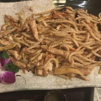 Kiku Sushi & Grill - Chicken Udon - Japanese Near Me - Bradenton, Florida Kiku Sushi & Grill - Chicken Udon - Japanese Near Me - Bradenton, Florida