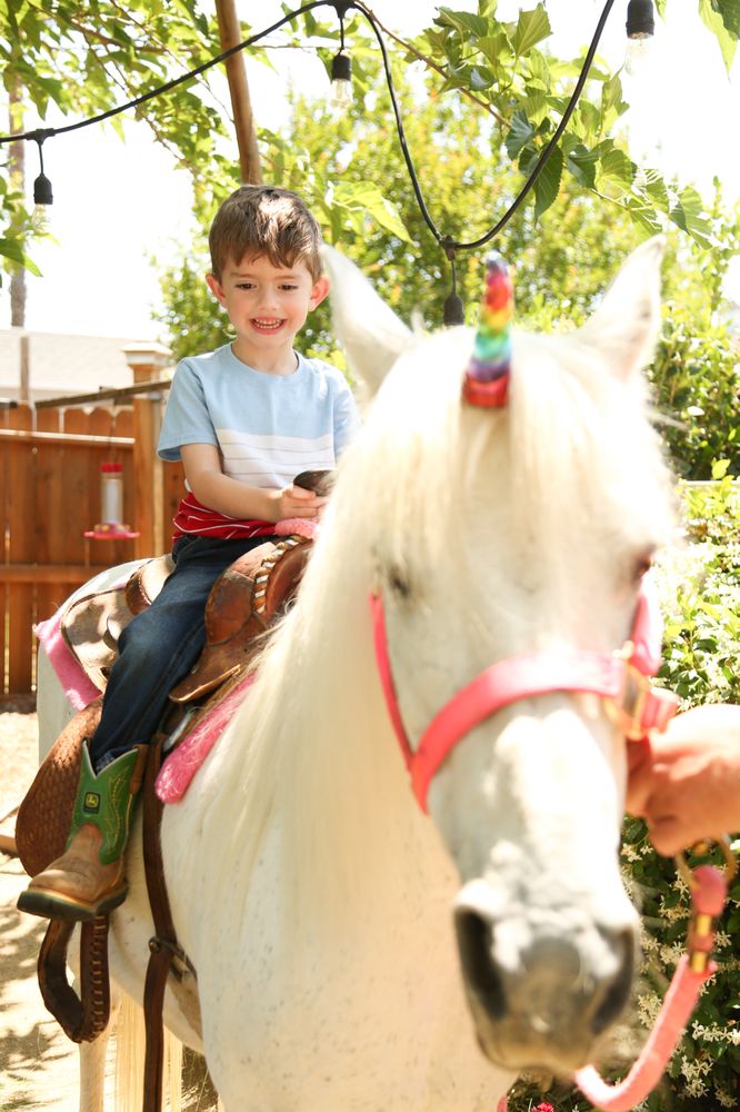BARNYARD BUDDIES MOBILE PETTING ZOO AND PONY RIDES Updated October