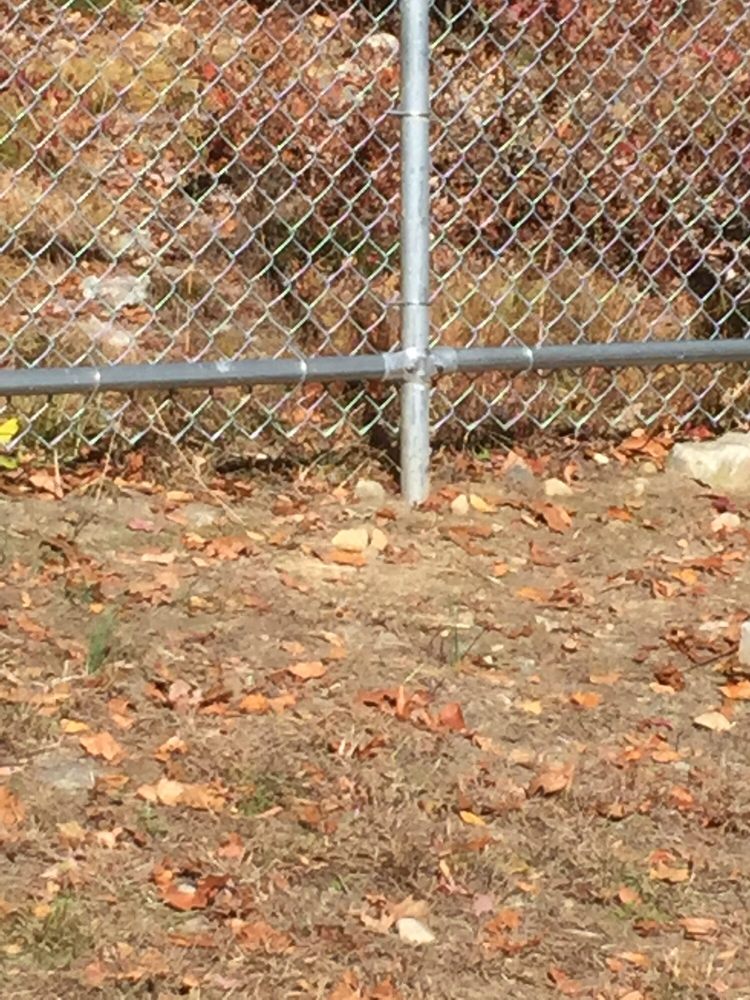 JOHNSTON DOG PARK Updated August 2024 90 Reservoir Ave, Johnston, Rhode Island Dog Parks