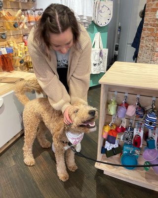 Amelie's Bark Shop by null