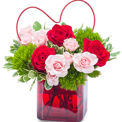 Gloucester Florist
