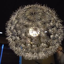 Ootori Sushi - Some cool accent lighting.