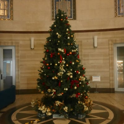 Laptop friendly cafe