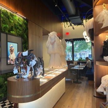 PUCCI Café - Interior decor - Pet Stores Near Me - Katy, Texas PUCCI Café - Interior decor - Pet Stores Near Me - Katy, Texas