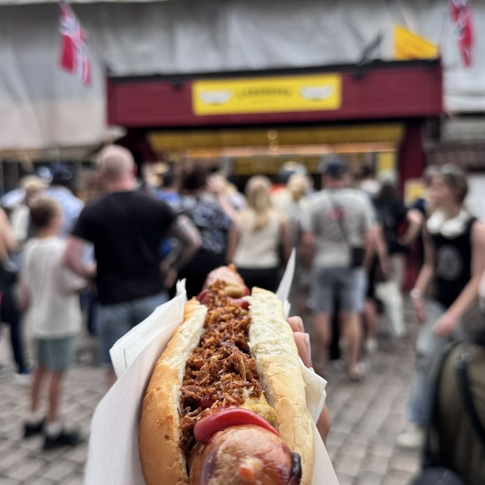 Basic dog with crispy onions Basic dog with crispy onions