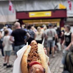 Trekroneren - Basic dog with crispy onions