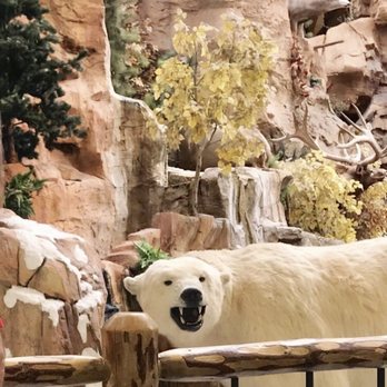 Bass Pro Shop - 9/2018 - Outdoor Gear Near Me - Glendale, Arizona