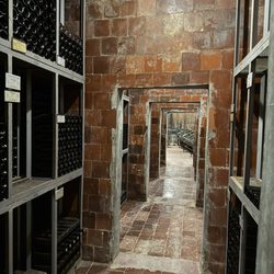 Artcava - Cellar