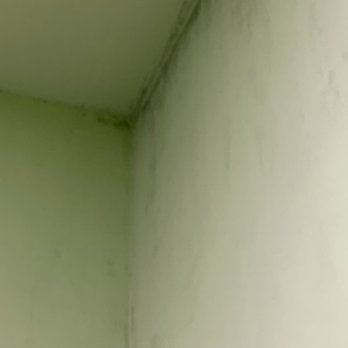 Fit Republic - Mold and moisture - Gyms Near Me - Fresno, California