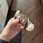Photo of Minelli Meat and Deli