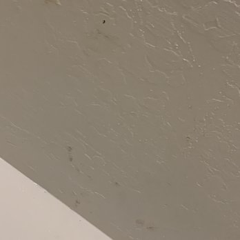 Lake Shasta Lodge - Mold and dead bugs on ceiling in shower - Hotels Near Me - Lakehead, California