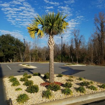 SpringHill Suites Sumter - Not many people here on Christmas Eve. Plenty of parking. - Hotels Near Me - Sumter, South Carolina