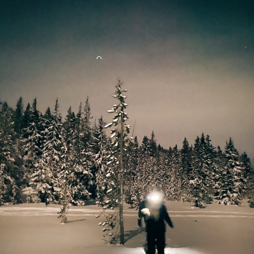 Wanderlust Tours - Guided snowshoeing through the wilderness - Tours Near Me - Bend, Oregon Wanderlust Tours - Guided snowshoeing through the wilderness - Tours Near Me - Bend, Oregon