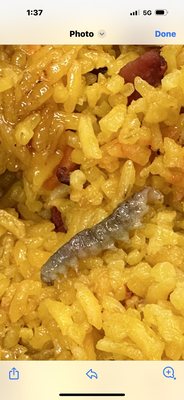 Double Dragon by null