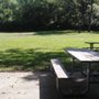 Photo of Palos Park Woods - North Grove #1